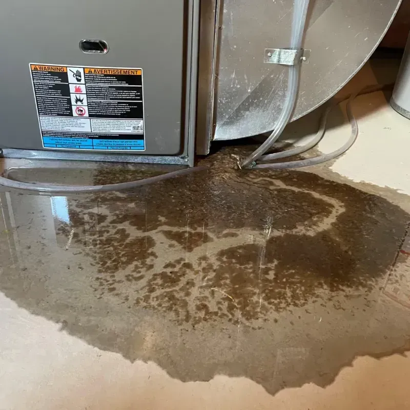 Appliance Leak Cleanup in Uvalde County, TX